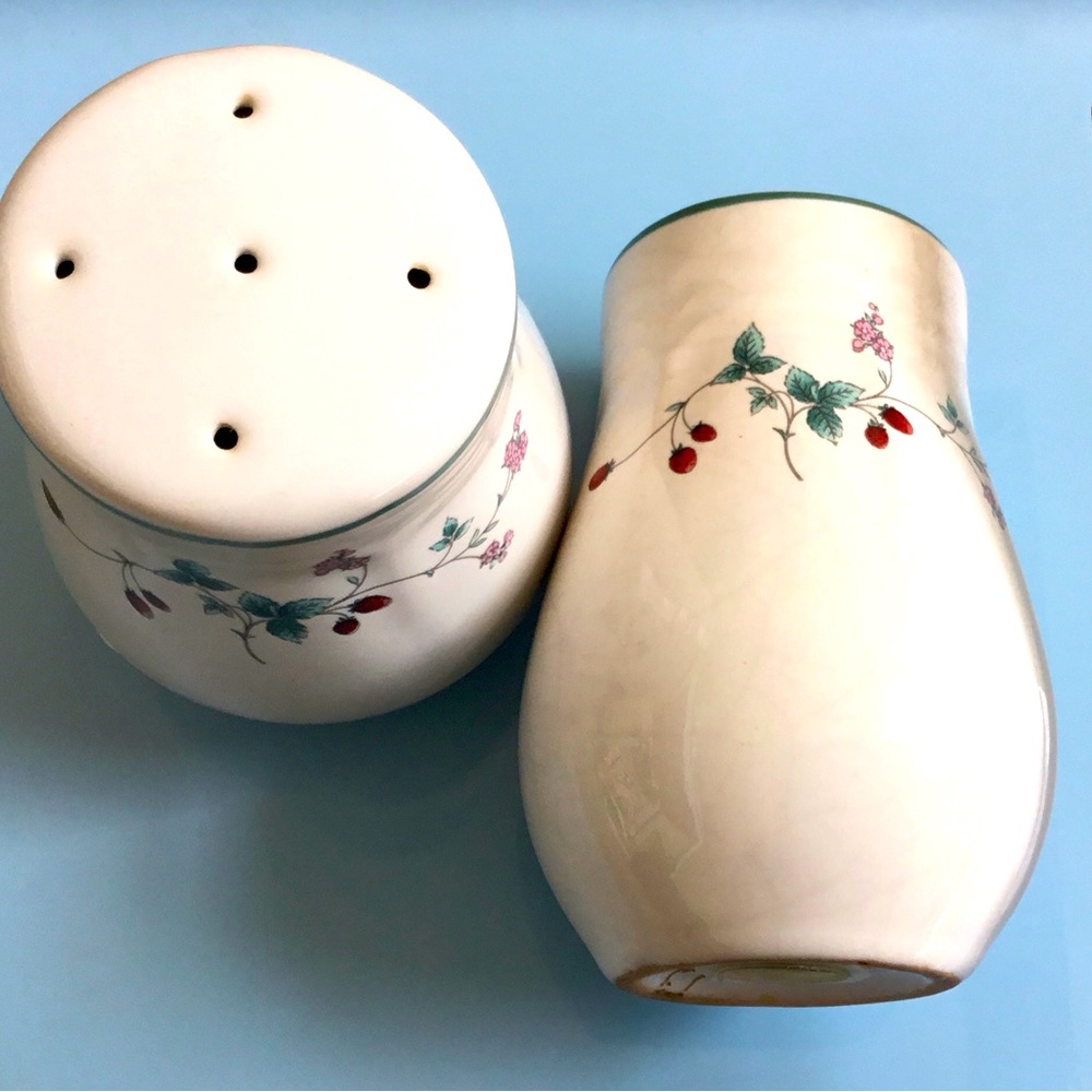 Summer Fruit Salt & Pepper Shakers Dainty Strawberry/pink flowers & vines. Cute